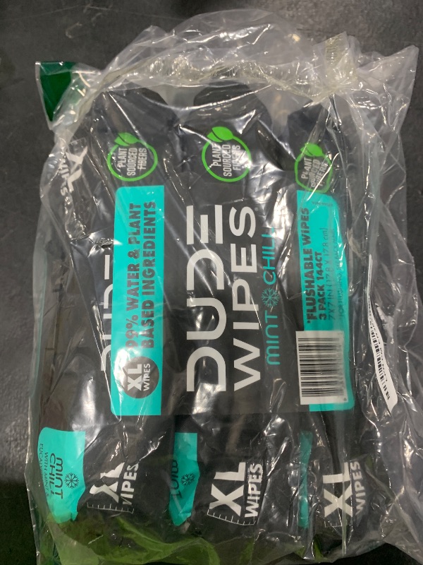 Photo 1 of DUDE Wipes - Flushable Wipes - 3 Pack, 144 Wipes - Mint Chill Extra-Large Adult Wet Wipes - Vitamin-E, Aloe, Eucalyptus & Tea Tree Oils - Septic and Sewer Safe