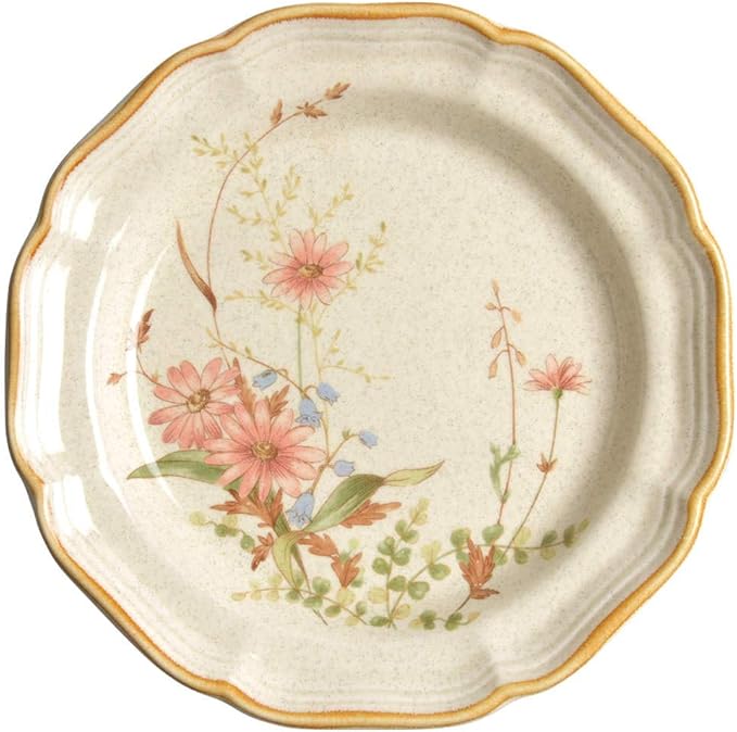 Photo 1 of Mikasa Field Bouquet Salad Plate set 7 