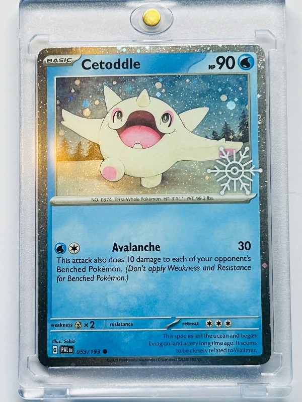 Photo 1 of 593439…Cetoddle cosmos holo Pokémon card in hard plastic case
