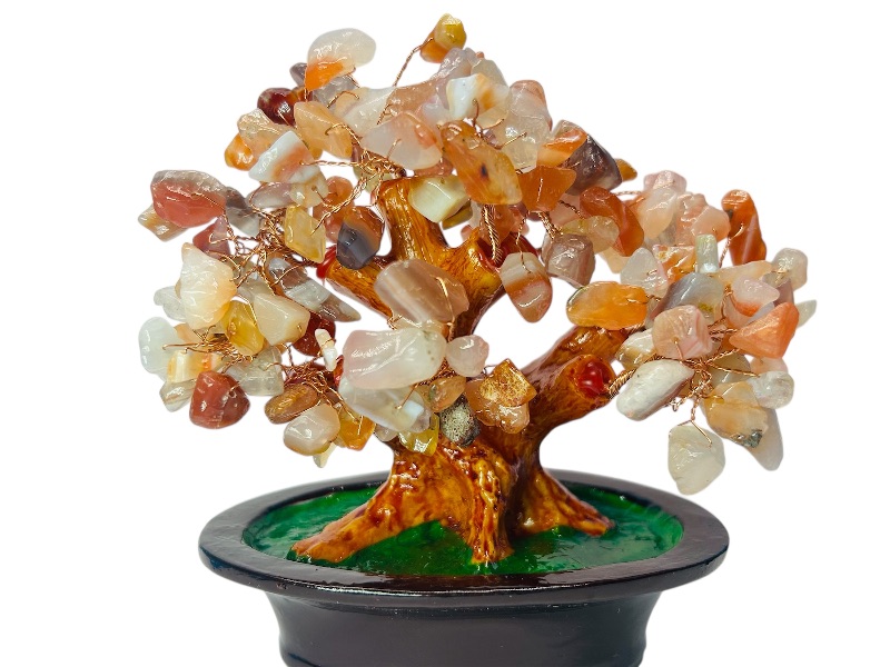 Photo 1 of 593764… 6” polished rock tree