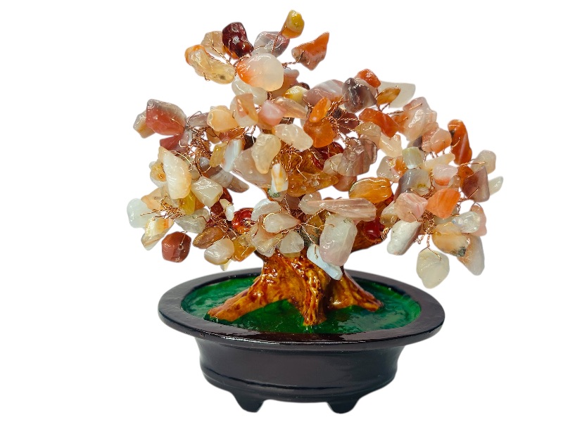 Photo 1 of 593764… 6” polished rock tree