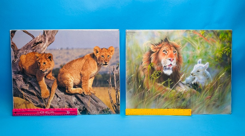 Photo 1 of 593919…two 16 x 20” posters