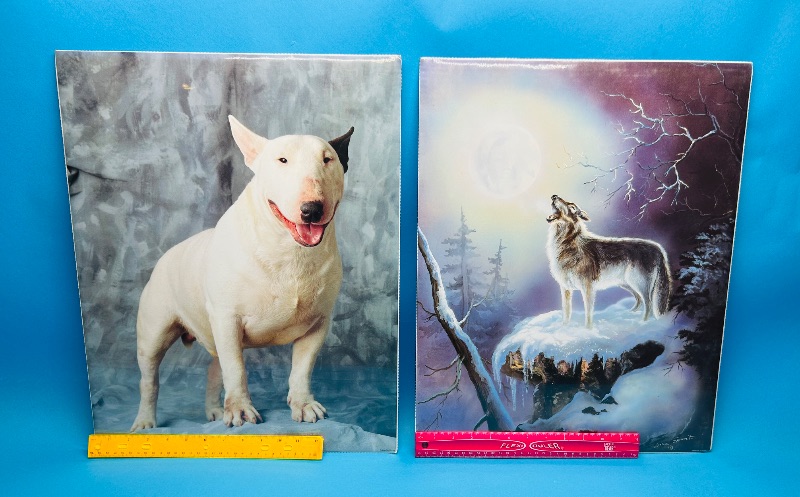 Photo 1 of 593920…two  16 x 20” posters