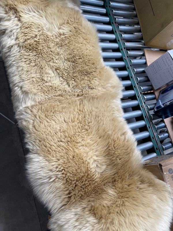 Photo 1 of FUZZY RUG