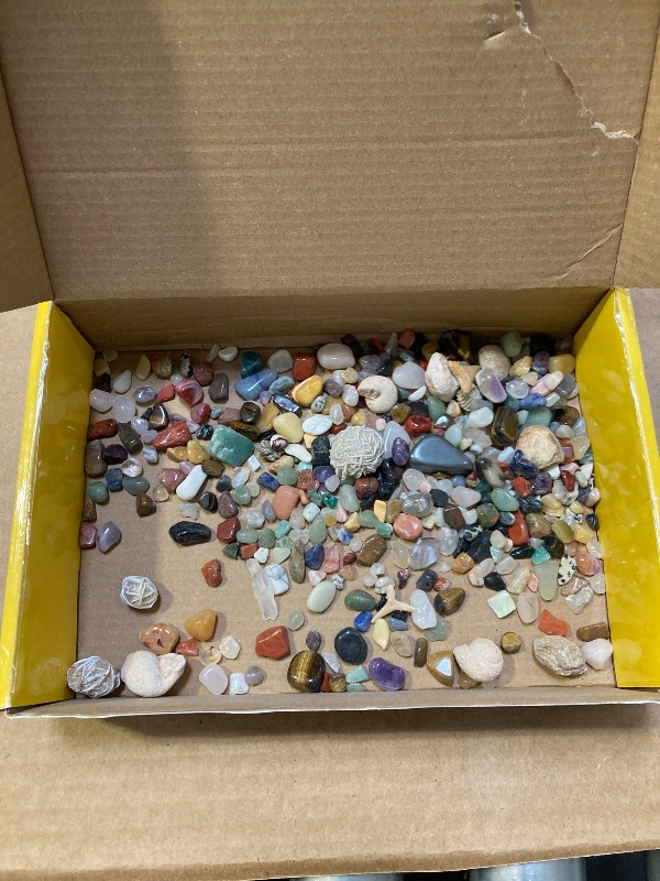 Photo 1 of National Geographic Rock Collection Box for Kids 300 Piece Set with Real Fossils, Gemstones, and Crystals - Includes Absolute Expert: Rocks & Minerals 