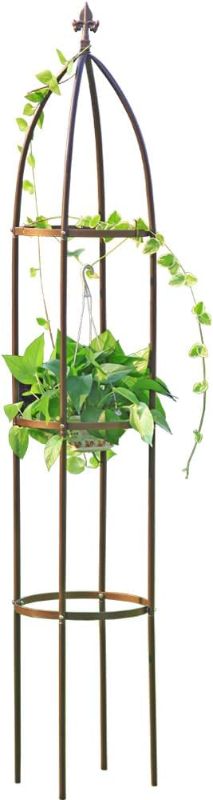 Photo 1 of 100% Metal Obelisk Garden Trellis 6.3 Feet Tall Sturdy Plant Support for Climbing Vines and Flowers Stands,1pc Upgrade
