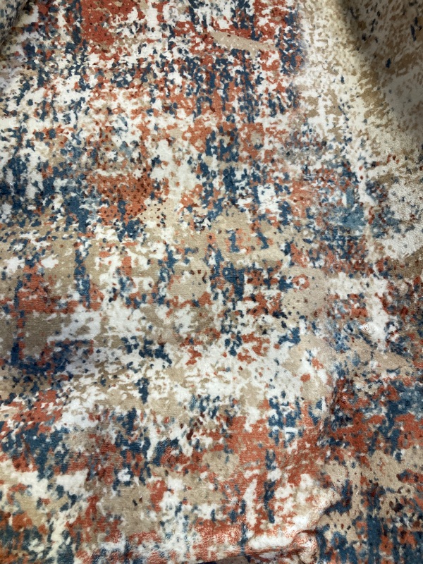 Photo 1 of Large Non-Slip Area Rug