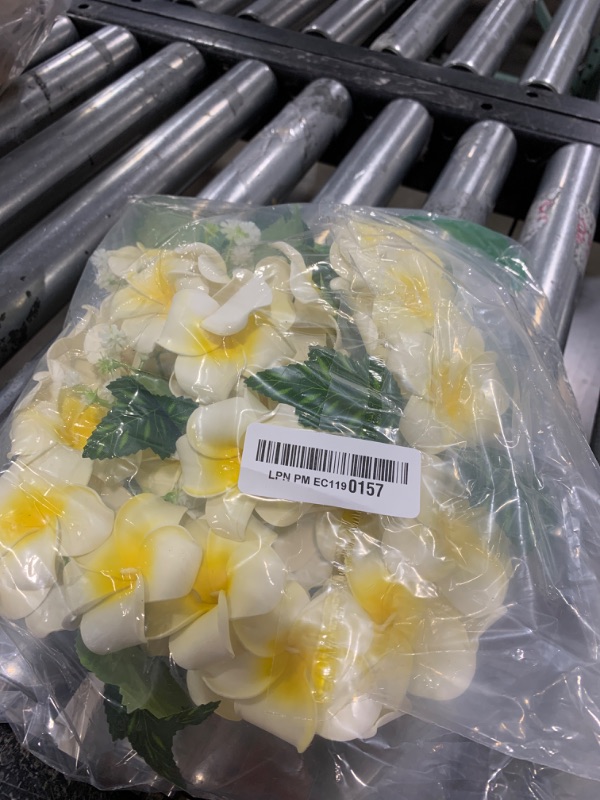 Photo 1 of Thiccywoov Hawaiian Graduation Lei 23.6 Inch 3D Foam Tropical Hawaii Luau Wreaths Class of 2025 Lei Necklace Artificial Plumeria Flower for Wedding Graduation Ceremony Hula Party Beach Party Supplies