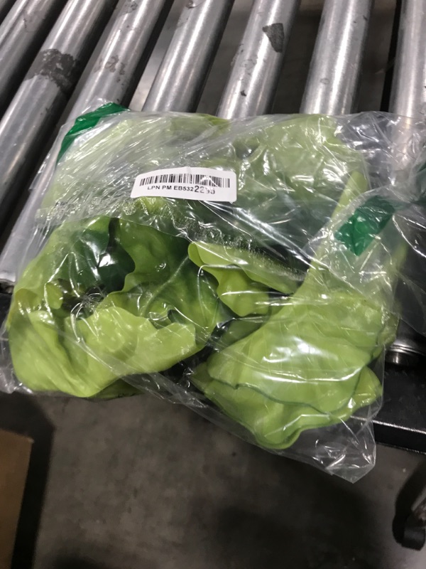 Photo 1 of Giegxin 30 Pcs Green Fake Lettuce Artificial Lettuce Leaves Simulation Fake Vegetables Model PVC Realistic Food for Home Kitchen Festival Pub Party Decoration