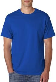 Photo 1 of Hanes 5.2 oz. Cotton T-Shirt (size large) Deep Royal Blue