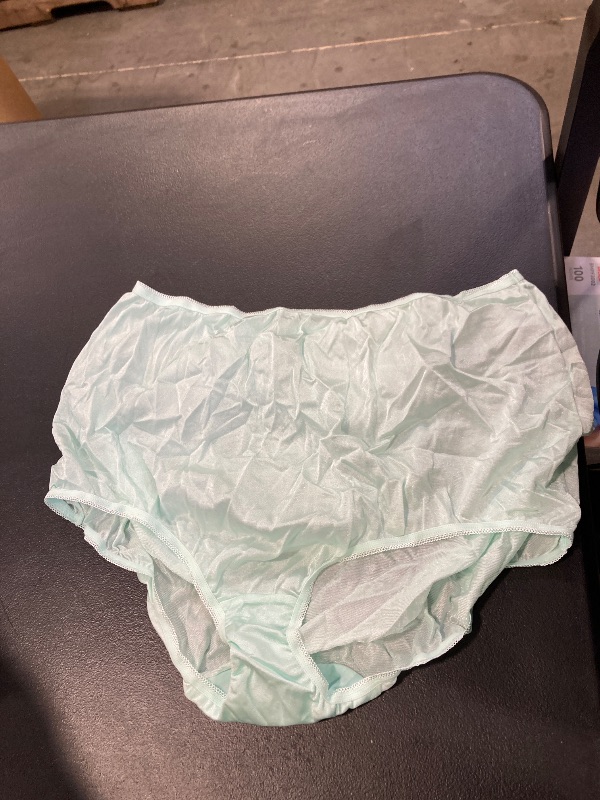 Photo 1 of Women's Nylon Brief Size 10