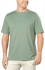 Photo 1 of Kirkland Signature Men's Short Sleeve Classic Cotton Tee (Green large)