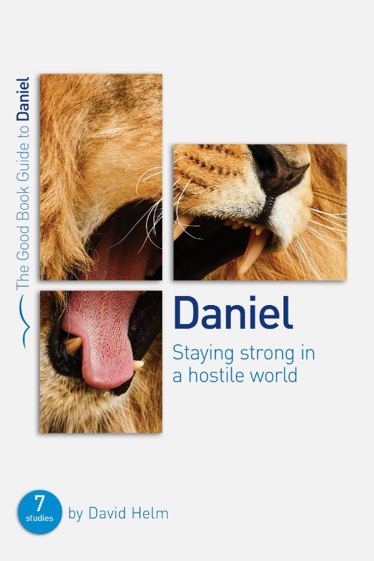 Photo 1 of Daniel: Staying strong in a hostile world