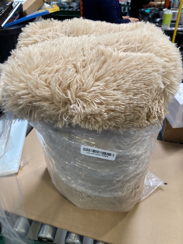 Photo 1 of Fluffy Rug Shaggy Area Rug, Beige 4x6 Area Rugs for Bedroom, Small Bedside Rug, Soft Fluffy Shaggy Entryway Throw Rugs for Living Room Bedroom Kids Room Home Decor
