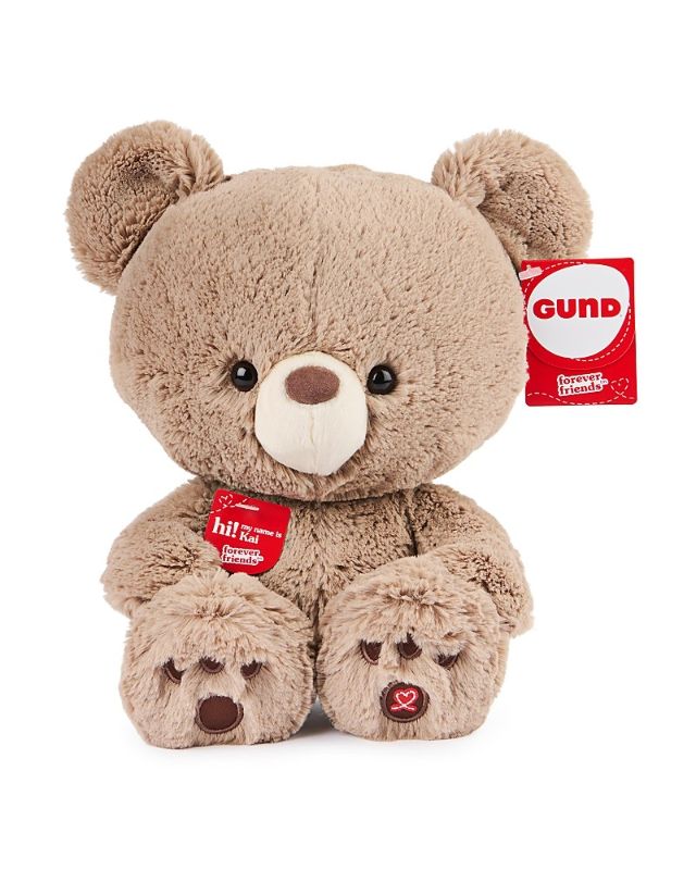 Photo 1 of Gund Kai 12' Teddy Bear, One Size
