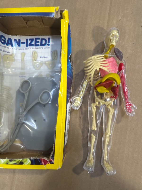Photo 1 of National Geographic Human Body Model for Kids That Glows in The Dark - 32-Piece Interactive Anatomy Model with Bones, Organs, Muscles, Science Kit Stocking Stuffer, Anatomy & Physiology Study Tools