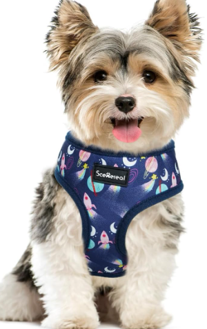 Photo 1 of SCENEREAL Small Dog Harness Collar and Leash Set, Adjustable No Pull Pet Harnesses, No Chock Soft Mesh Step in Vest for Doggie Puppy Medium Dogs Cats Girl or Boy,Chihuahua, Yorkie, Outdoor Walking