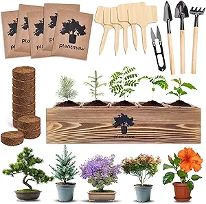 Photo 1 of Bonsai Tree Kit –  Indoor Starter  Japanese Bonsai Trees, Tools & Planters – Perfect Gardening Gift for Women, Men, Plant Lovers – Great for Easter, Father’s Day