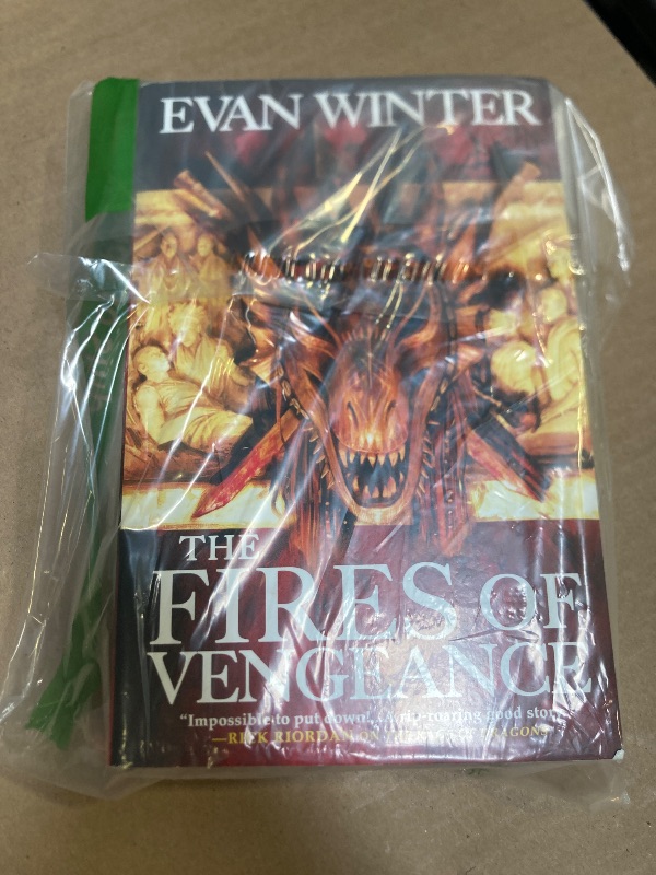 Photo 1 of The Fires of Vengeance (The Burning, 2)