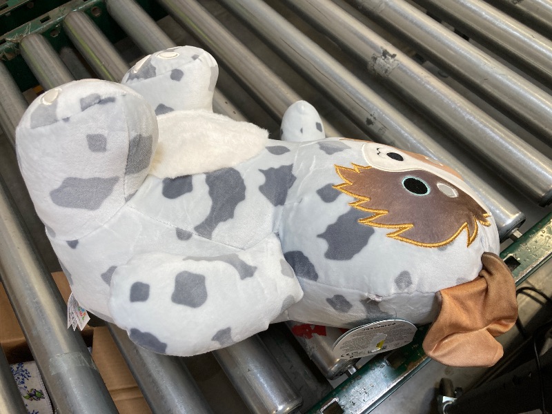 Photo 1 of Squishmallows Original 14 inch Raylor the Australian Shepherd Squeezemallows – Child's Ultra Soft Plush Toy