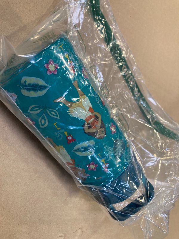 Photo 1 of Simple Modern Kids Summit Water Bottle with Straw Lid | Disney Moana 14oz Stainless Steel Cup Insulated Tumbler for Girls, School | Moanas Village