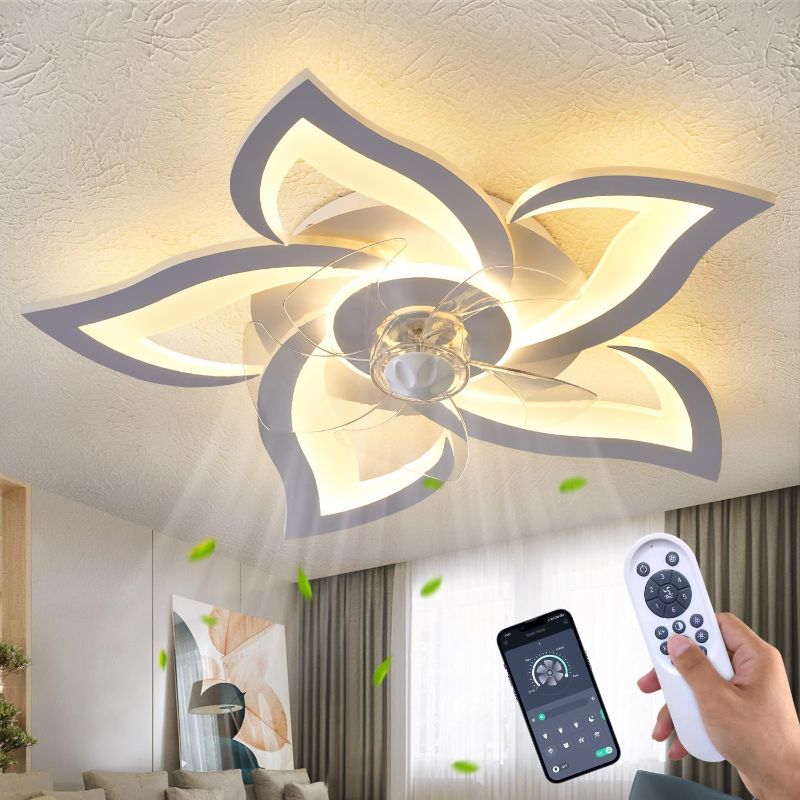 Photo 1 of several common problems with ceiling fan light