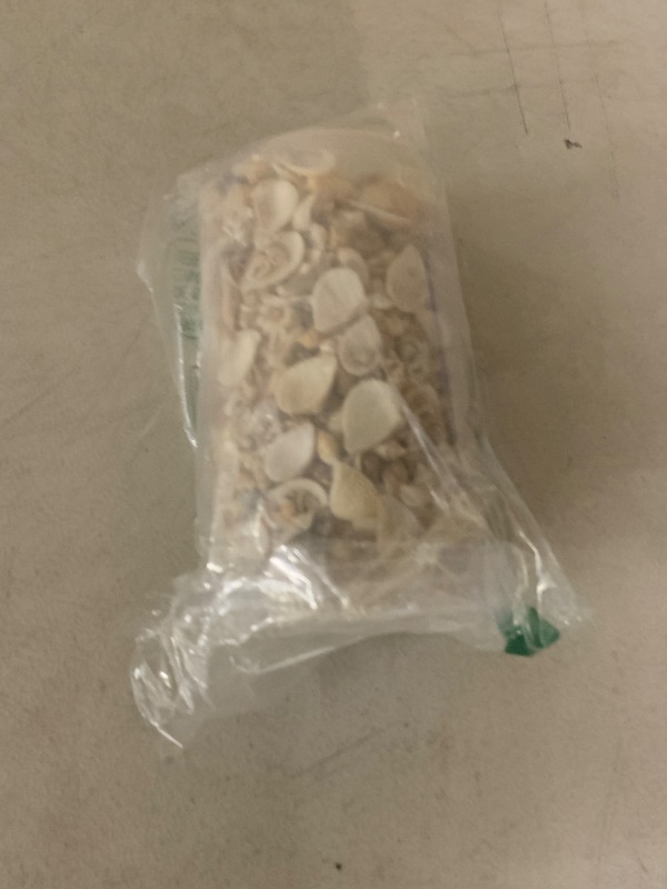 Photo 1 of 1500 Pcs Small Shells For Crafts,Small Sea Shells For Crafting,Mini Seashells Bulk for Decorating,Assorted Tiny Seashells For Resin,Home Decorations, Beach Theme Party, Candle Making, Wedding Decor
