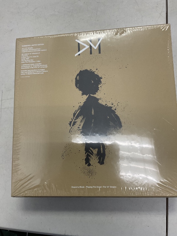 Photo 1 of Playing The Angel | The 12" Singles