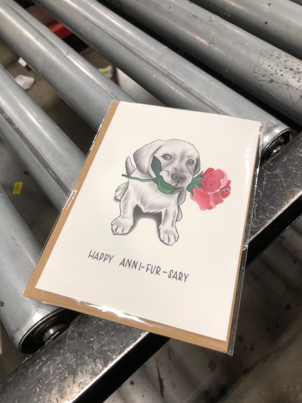 Photo 1 of Wunderkid Funny Anniversary Card, Happy Anni-fur-sary Puppy Love for Her or Him (Individual, Blank inside)