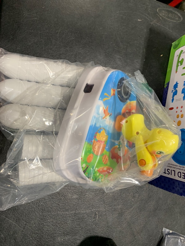 Photo 1 of EASTER EGGS AND CHICK 