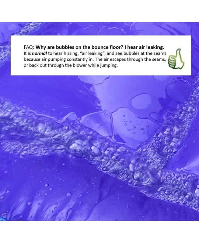Photo 1 of HeroKiddo 16 Purple Tropical Inflatable Water Slide with Attached Pool (No Blower Included), Commercial Grade, Wet Dry Use - Open Miscellaneous
