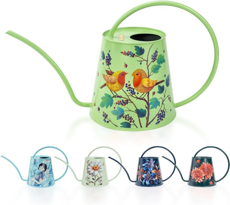 Photo 1 of Berry&Bird House Plants Watering Can - Indoor & Outdoor 1/2 Gallon Stainless Steel Water Can with Long Spout Garden Decoration for Flower Bonsai Succulent Gardening Large Watwer Bottle(2L/Robin)
