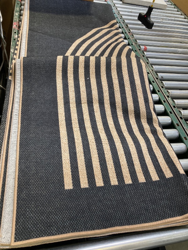 Photo 1 of Large Area Rug, Black/Brown