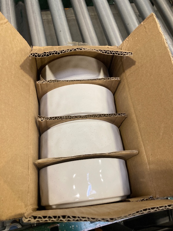 Photo 1 of LIANYU Stoneware Dinnerware Sets, 12 Piece Plates and Bowls Dish Set for 4, Kitchen Speckled Dinner Ware Dining Dishware, Microwave & Dishwasher Safe, Polar White