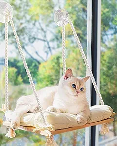 Photo 1 of Cat Window Perch - Hammock Bed for Cats Inside - Solid Wood Seat, 4 Strong Suction Cups, Soft Cushion - Rustic Indoor Pet Shelf