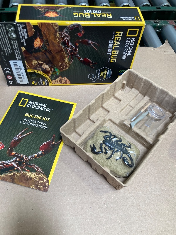 Photo 1 of NATIONAL GEOGRAPHIC Real Bug Dig Kit -  Scorpion - Great STEM Science Gift