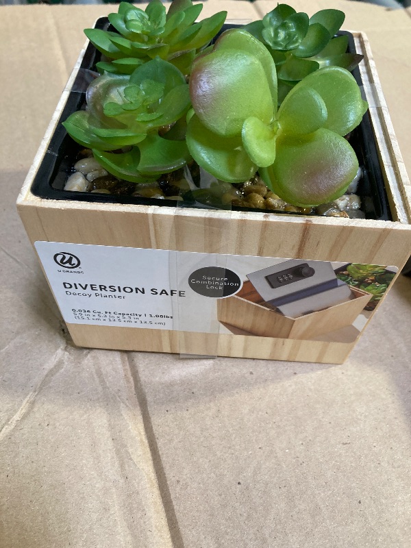 Photo 1 of  Succulents Plants Artificial in Wood Pots 