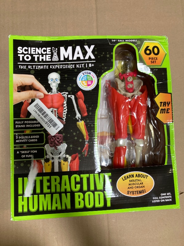 Photo 1 of Be Amazing! Toys Interactive Human Body - 60 Piece Fully Poseable Anatomy Figure – 14” Tall Model - Anatomy Kit – Removable Muscles, Organs,Bones STEM Toy – Ages 8+