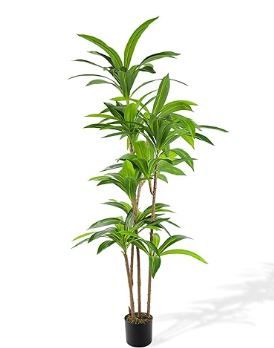 Photo 1 of Artificial Dracaena Fragrans Tree, 6 Ft Tall, Indoor Faux Plant
