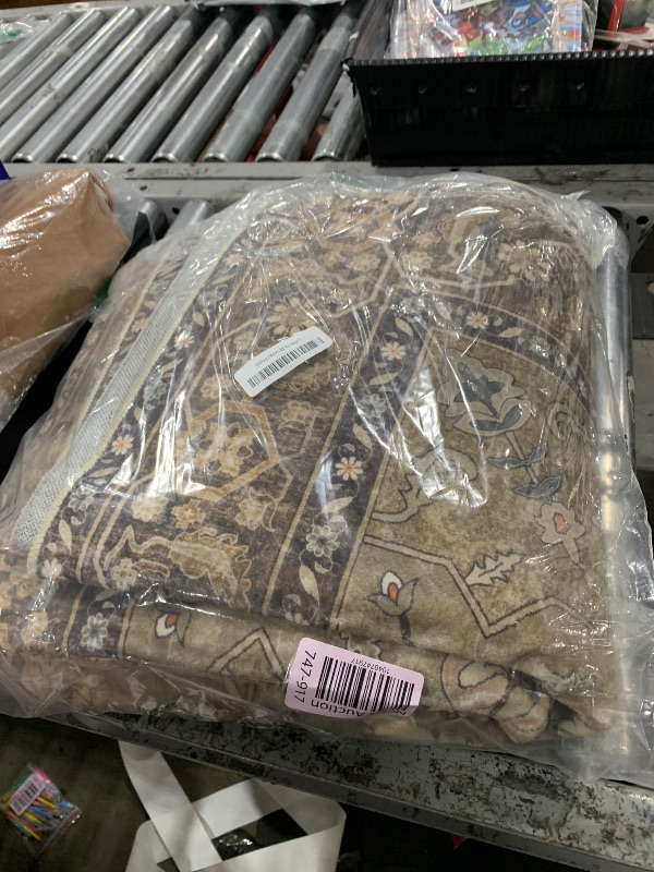 Photo 1 of Ciicool Area Rug 5x7ft Washable Rugs for Living Room Non-Slip Indoor Rugs Large Low-Pile Mat Floor Carpet Vintage Rug for Bedroom Dinning Foyer Decor