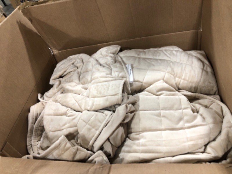 Photo 1 of RECYCO Luxury Velvet Quilt Set King Size Bedding Sets, Ultra Soft Velvet Comforter Set, Lightweight Channel Box Stitch Oversized Bedspread Coverlet for All Season, with 2 Shams, Beige