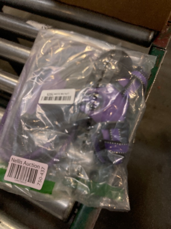 Photo 1 of IVY&LANE No Pull Dog Harness for Small Dogs, Dog Vest Harness with Leash, Safety Belt and Storage Strap, Fully Adjustable Harness, 360° Reflective Strip, Soft Handle (Purple, S)
