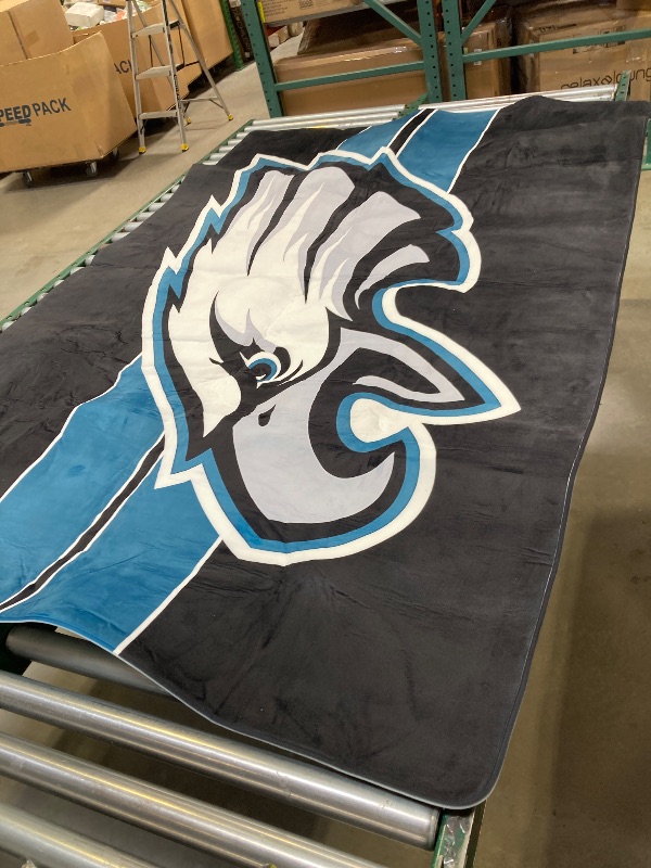 Photo 1 of Philadelphia Eagles Flag NFL Football rugs 