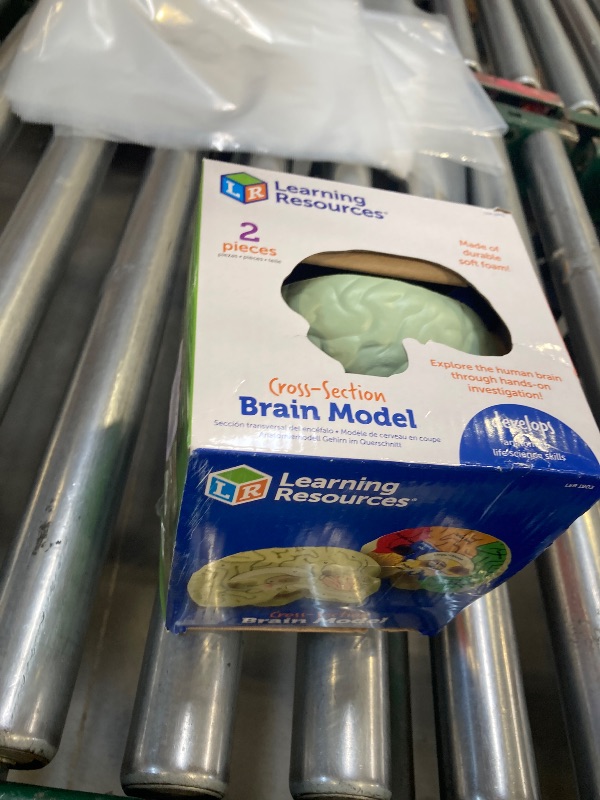 Photo 1 of Learning Resources Cross-section Brain Model - 2 Pieces, Ages 7+ Brain Anatomy Model, Brain Functions Model, Human Anatomy for Kids, Foam Brain Model,Back to School Supplies