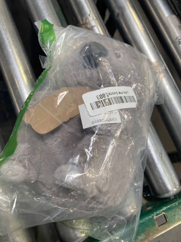 Photo 1 of Aurora® Responsibly Made Eco Nation™ Koala Stuffed Animal - Ideal for Playtime Adventures - Perfect for Birthdays or Just Because - Gray 8 Inches