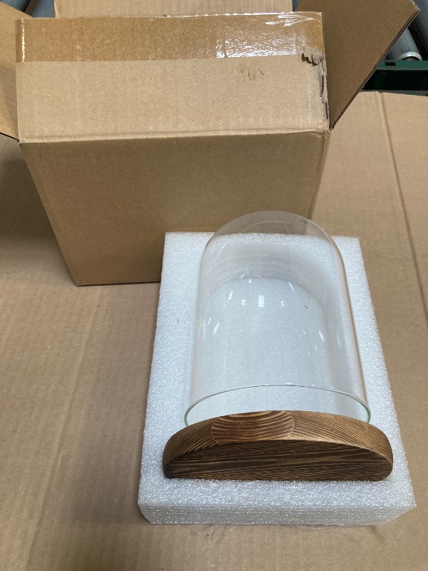 Photo 1 of Glass Cloche Display Dome 6.9 x 5.7 inch Decorative Glass Display Bell Jar for Home Party Wedding Decor