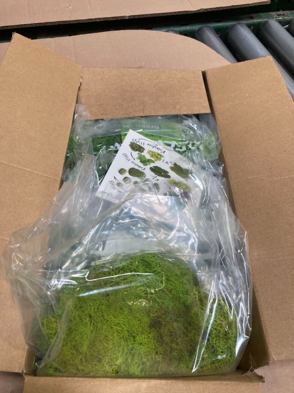 Photo 1 of prefleur 5 Color Mix Pack Preserved Reindeer Moss Natural Green DIY Kit Gardenning Art Wall Decor Florist Decor (1 lb)(Green-01 Green-02 Green-03 Green-04 Green-12)