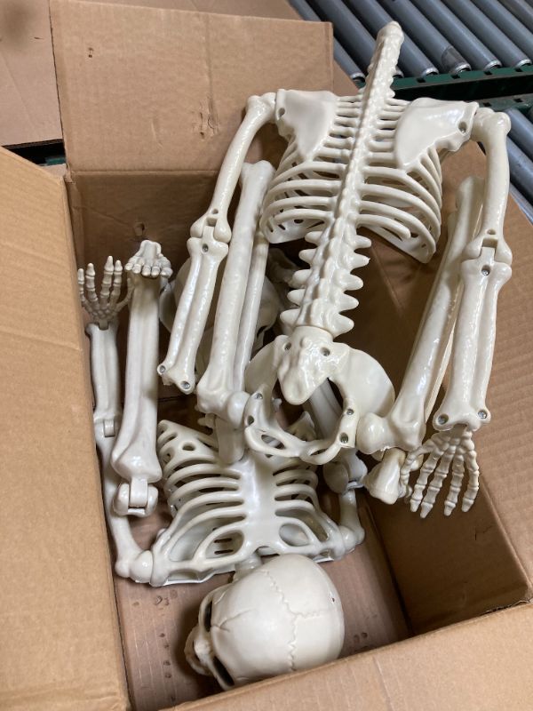Photo 1 of CAMIRUS 2PACK 36" Posable Skeleton Halloween Decorations, 3FT Plastic Poseable Skeleton with Realistic Movable Joints for Halloween Haunted Houses, Lawn, Graveyard