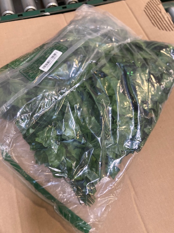 Photo 1 of CQURE 48 Pcs 336Ft Artificial Ivy Fake Vines,Ivy Garland Greenery Garland Fake Hanging Plants Vines Green Leaves for Bedroom Wedding Garden Wall Room Decor
