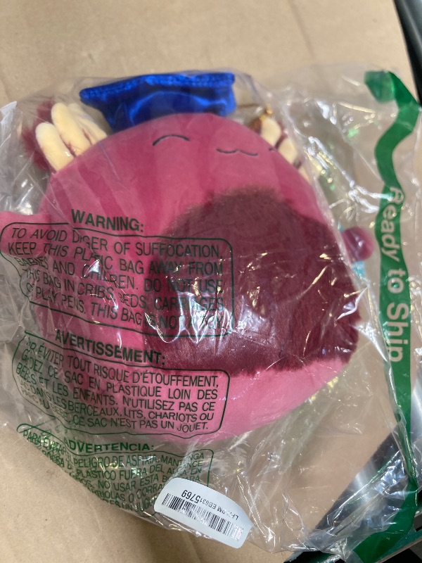 Photo 1 of Squishmallows 2025 Original 8-Inch Graduation Squad Plush - Collectible Soft & Squishy Mini Stuffed Animal Toy - Add to Your Squad - Gift for Kids, Girls & Boys (IndieMae Axolotl)